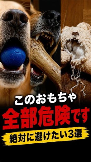 犬のおもちゃ、これ全部危険です。絶対に避けたい3選【獣医師解説】