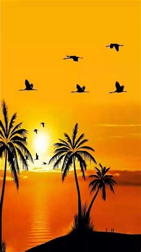 ٣١ يناير ٢٠٢٦