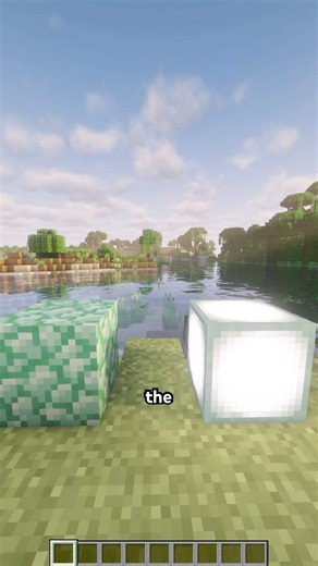 5 Random Minecraft Facts #minecraft #minecraftshorts