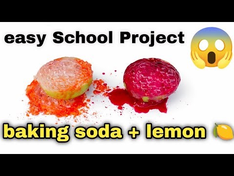 easy science experiments to do at home | school science experiments #STEM #schoolproject