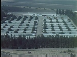 Chicken Farm to Table: Egg Production & Poultry Research