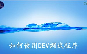 如何使用dev调试程序