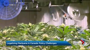 Parliament ends Canada’s prohibition on pot