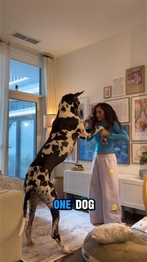 Top 5 Best Family Guard Dogs 🐺 World's Most Loyal Protection Breeds! #Shorts #Dogs #USA