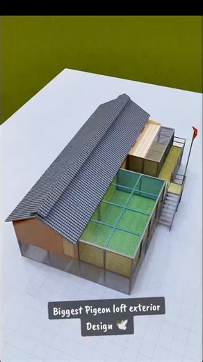 Topflight Racing Pigeon Loft on Instagram: "Biggest Pigeon loft exterior Design #pigeonloft #loftdesign #exteriorsloft #racingpigeonsloft #loft"