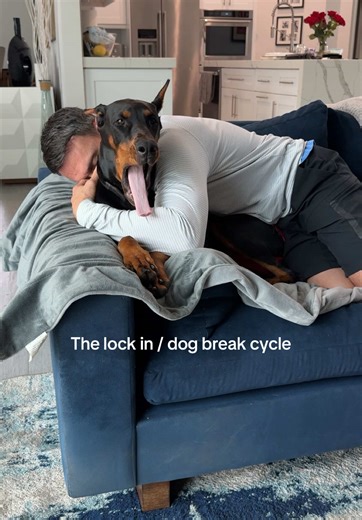The Lock-In Dog Break Cycle for a Balanced Workday