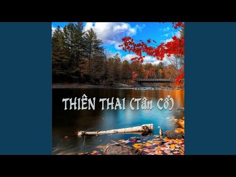 Thiên Thai (Tân Cổ) (feat. Bích Phương, Thanh Tài)