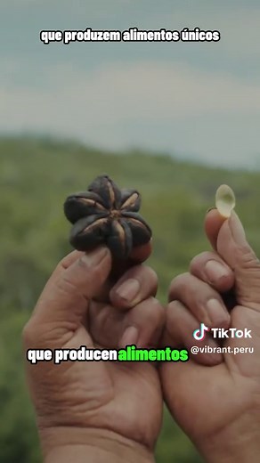 Superalimentos del Perú: Desde la Costa hasta la Amazonía