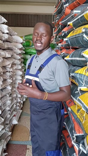 pig feed concentrates available #tiktokuganda #tiktokviral #whattowatch #trendingvideo #museveniofficialug @TAMALE JOEL @Faida Patience 💃 @Makerere University @Brinas Development Limited @SWINE CONSULTANT