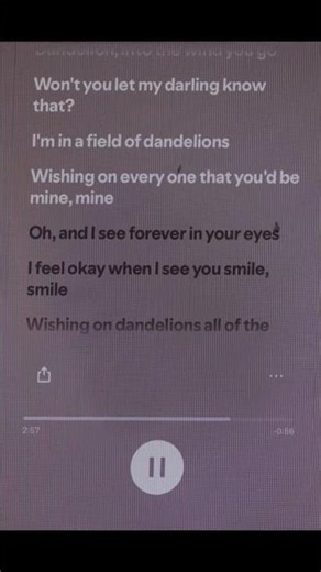 Dandelions | Ruth B.