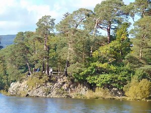 2.9K views · 350 reactions | A stroll in the sunshine along the shore...