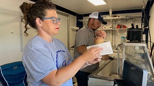 Coombs family hopes to revive dairy farm with help from Fixer Upper