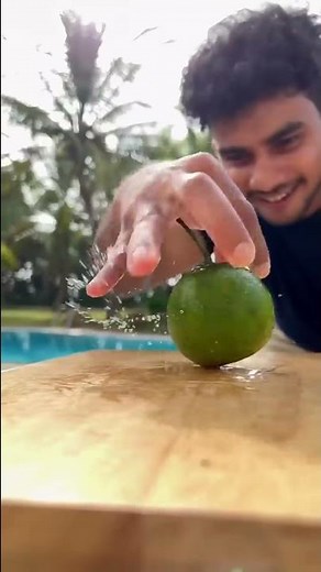 Sweet Orange - Aloe Vera Drink | Wild Cookbook