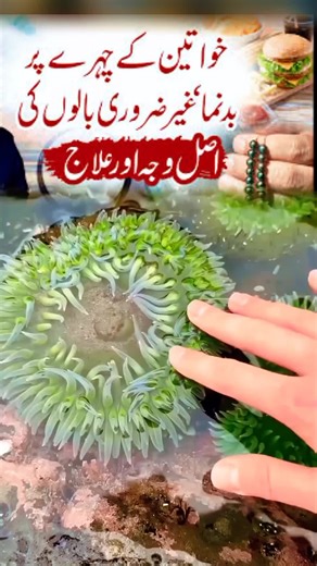 Natural Beauty Tips for Glowing Skin and Routine