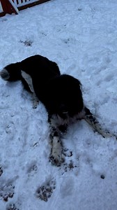 3.7K views · 236 reactions | Earl Slick (official) on Reels | Facebook