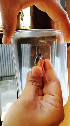 how to protect padlocks so they don't rust easily #tips #tricks #lifehacks