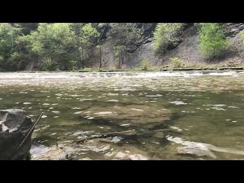 Positive Parenting Affirmations - guided meditation to help mothers relieve stress