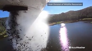 45K views · 410 reactions | Fish are falling from the sky in Utah! ☁️ The Utah Division of Wildlife Resources is using planes to restock lakes and streams with trout in remote areas of the state. https://bit.ly/3ihV33S | AccuWeather | Facebook