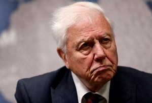 David Attenborough in appeal to save charity behind London Zoo