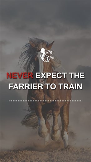 🧲 Never Expect Your Farrier to Fix This 🐴 If your horse fights the farrier, the problem usually starts before they arrive. Preparation begins with you. ✅ Handle your horse’s feet daily, lift low, support the leg, and set it down gently ✅ Teach them that standing still is safe ✅ On farrier day, use a steady short lead and stand to the side, never in front ✅ Watch for early warning signs: pinned ears, tail swishing, shifting weight ⚠️ Step in before stress turns into a kick or pull. 🎯 A calm fa
