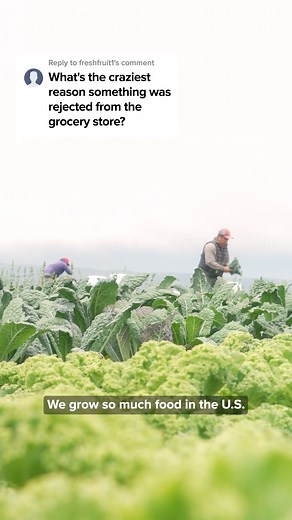 Get high-quality groceries delivered for less with Misfits Market. Save up to 30% on organic produce, pantry staples, sustainably sourced groceries, and more. | Misfits Market