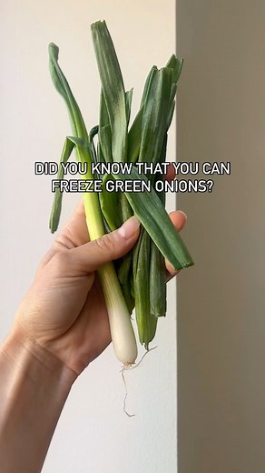 1.5K views | Green onions tip - freeze them!  Follow...
