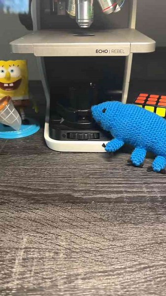 Microscopic Wonders: From Worms in Chicken to Sea Monkeys