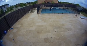 Toyota RAV4 Goes Flying Through Backyard In Florida As Rainy Day Helps Avoid Possible Tragedy | Carscoops