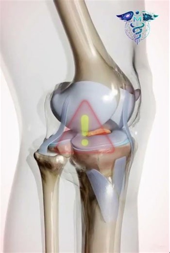 Inside Your Body Right Now 😳 | 3D Medical Animation #shorts #bones #joint
