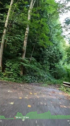 🌲 E-Bike Ride Switzerland | Gravel & Countryside POV #biketour #ebike #gravel