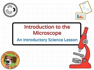 Science Lesson: Intro to the Microscope