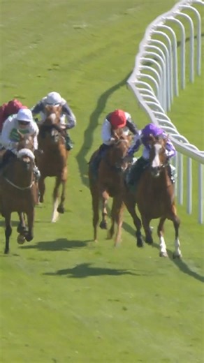 13K views · 235 reactions | The 2025 Oaks Queen, Minnie Hauk, kicked it all off at Chester... ✨ | World Horse Racing | Facebook