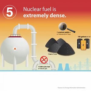 20K views · 147 reactions | ANIMATION: Learn 5 fast facts about...