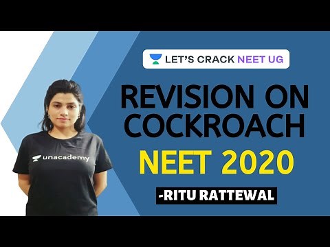 Phoenix 2.0: Biology Most Important Video for NEET 2025 | Udaan