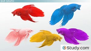 Make Estimates and Predictions from Categorical Data - Video | Study.com