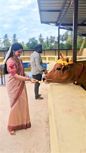🌸vinoo🌸 on Instagram: "Visited varahi amman temple 🙏 Details : Jewels : @eterna_jewels_designs Loved their collections, just try it out makkale ❤️ Saree : purchased from Chennai who sells at home so link edhuvum ille Blouse and Saree pre pleated by @archanaabridalboutique"