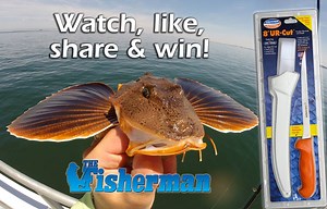 23K views · 191 reactions | Learn, Like, Share and Win! Watch this video to learn how to filet a sea robin, like The Fisherman Magazine's page, share the video on your page (make sure it is set to public) and win a FREE fillet knife from Dexter Outdoors. We will pick a winner on Wednesday, August 23, 2017. GOOD LUCK! | The Fisherman Magazine | Facebook