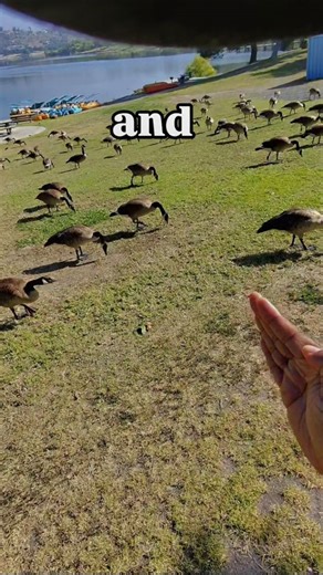 295 reactions · 18 shares | Military Humor - Get off the grass! | Marine1169 | Facebook