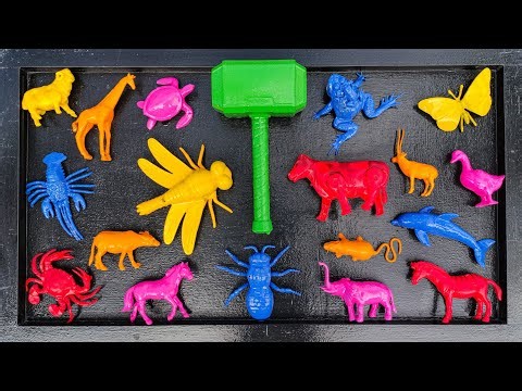 Aha!! Cleaning animals cows, ducks, geese, chickens, elephants, chimpanzees, lions, giraffes, cro...