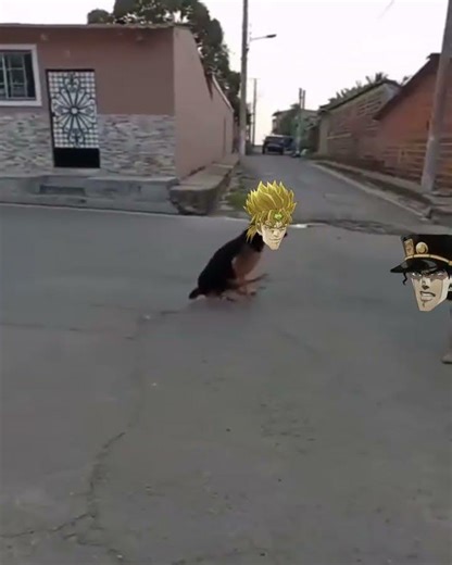 DIO VS Jotaro