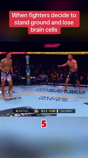 Max Holloway UFC Knockout Highlights