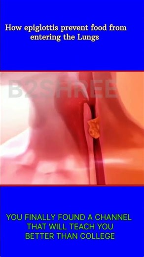 How epiglottis works#epiglottis #mouth
