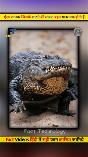 ऐसा जानवर जिसके काटने की ताकत बहुत खतरनाक होती है| #crocodile #factsinhindi