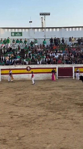 El campeón de España en corto #shorts | Valor Y Verdad En La Arena