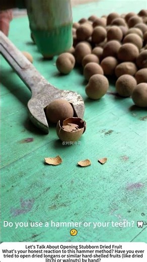 Cracking Open Dried Longan with a Hammer – Quick Shell Removal Hack 🔨🥥