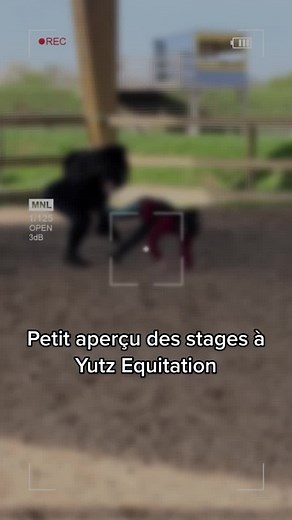 Vidéos de yutz.equitation.off (@yutz.equitation.off) avec Circus Music - The Hit Crew Kids