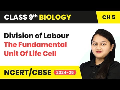 Division of Labour - The Fundamental Unit Of Life Cell | Class 9 Biology Chapter 5 | CBSE