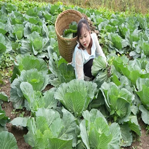 Processing dead fish into excellent pet chow, and enhancing garden soil to grow vegetables. | Natacha- Live with nature