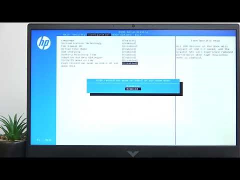 HP Victus Gaming 16 - Enable High Resolution USB-C DP Alt Mode | Display Settings