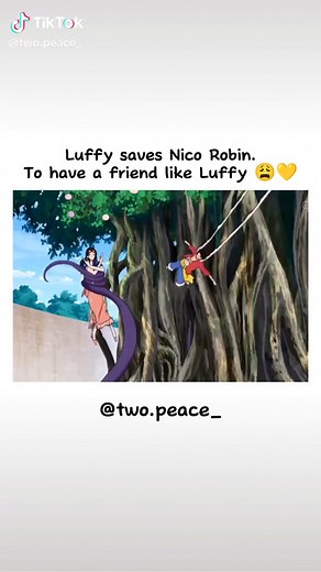 Luffy Store on TikTok